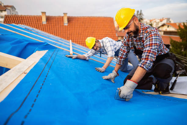 Quick and Trustworthy Emergency Roof Repair Services in Alpena, MI
