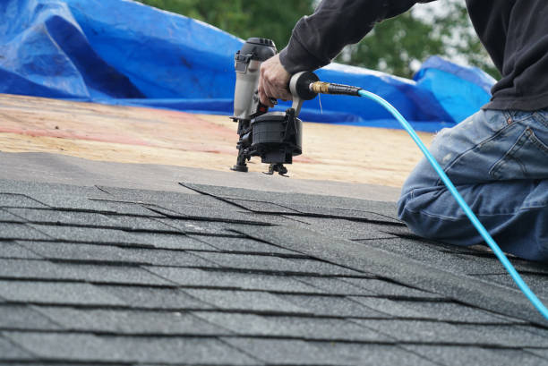 Best Metal Roofing Contractor  in Alpena, MI
